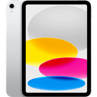 Koop iPad 10.9" 256GB Wifi - 194253389620